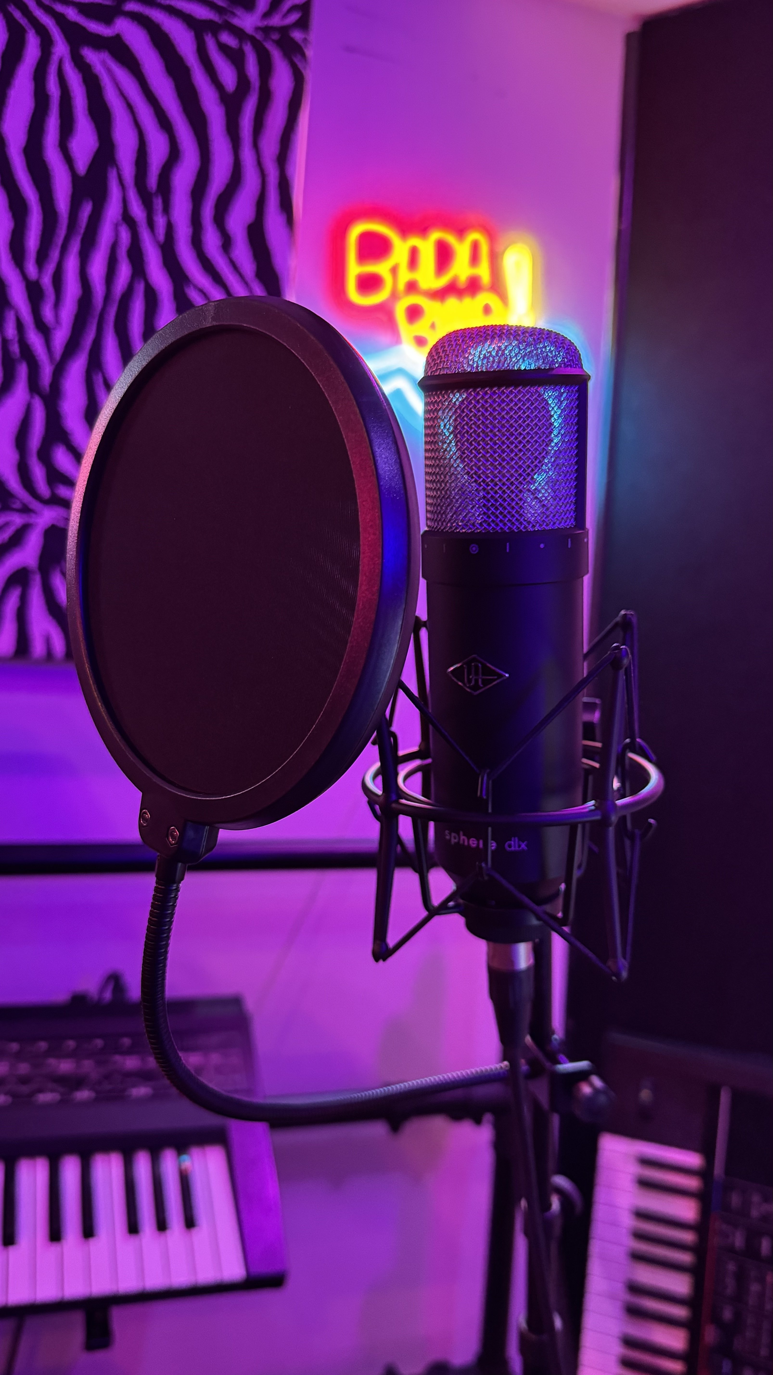 Vocal Mic